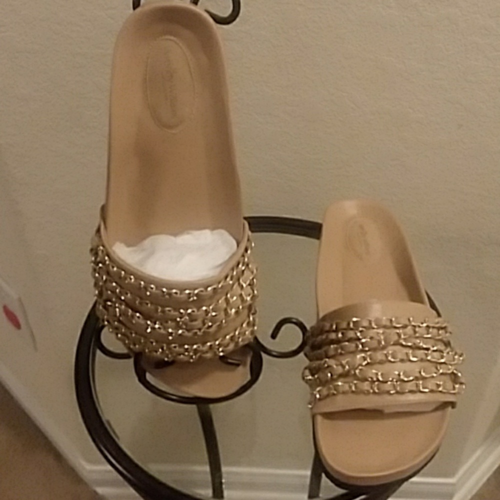 Wendy Williams Chain Slide